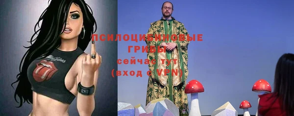 mix Богородск