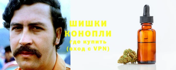 прущая мука Богданович