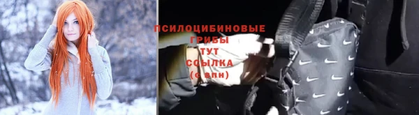 mix Богородск