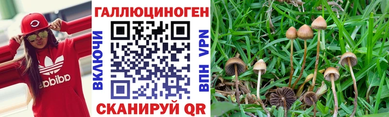 Псилоцибиновые грибы прущие грибы Горнозаводск